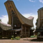 Flores (wet hulled) unroasted beans