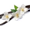 Vanilla,Sticks,With,Flowers,On,White,Backgrounds.