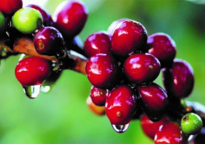Huehuetenango1