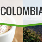 20LB Colombia (subscribe) green coffee beans