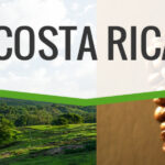 Costa Rica (wholesale) fresh roasted coffee