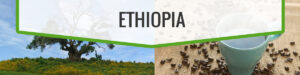ethiopia ethiopia