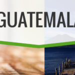 Guatemala Huehuetenango (wholesale) fresh roasted coffee
