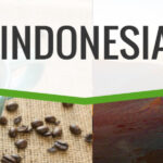 Unroasted: Indonesia