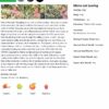 Honduras Fatima Honey – Smokin Beans 07-31-19