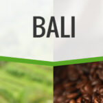 Bali Blue Moon (natural process) fresh roasted coffee
