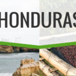 Honduras (origin blend) green coffee beans