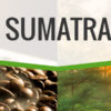 Sumatra Sumatra