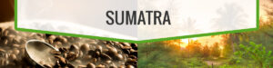 Sumatra Sumatra