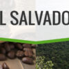 el salvador