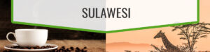 Sulawesi