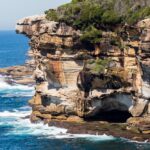 Malabar (monsooned process) green coffee beans