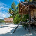 Papua New Guinea (origin blend) unroasted beans