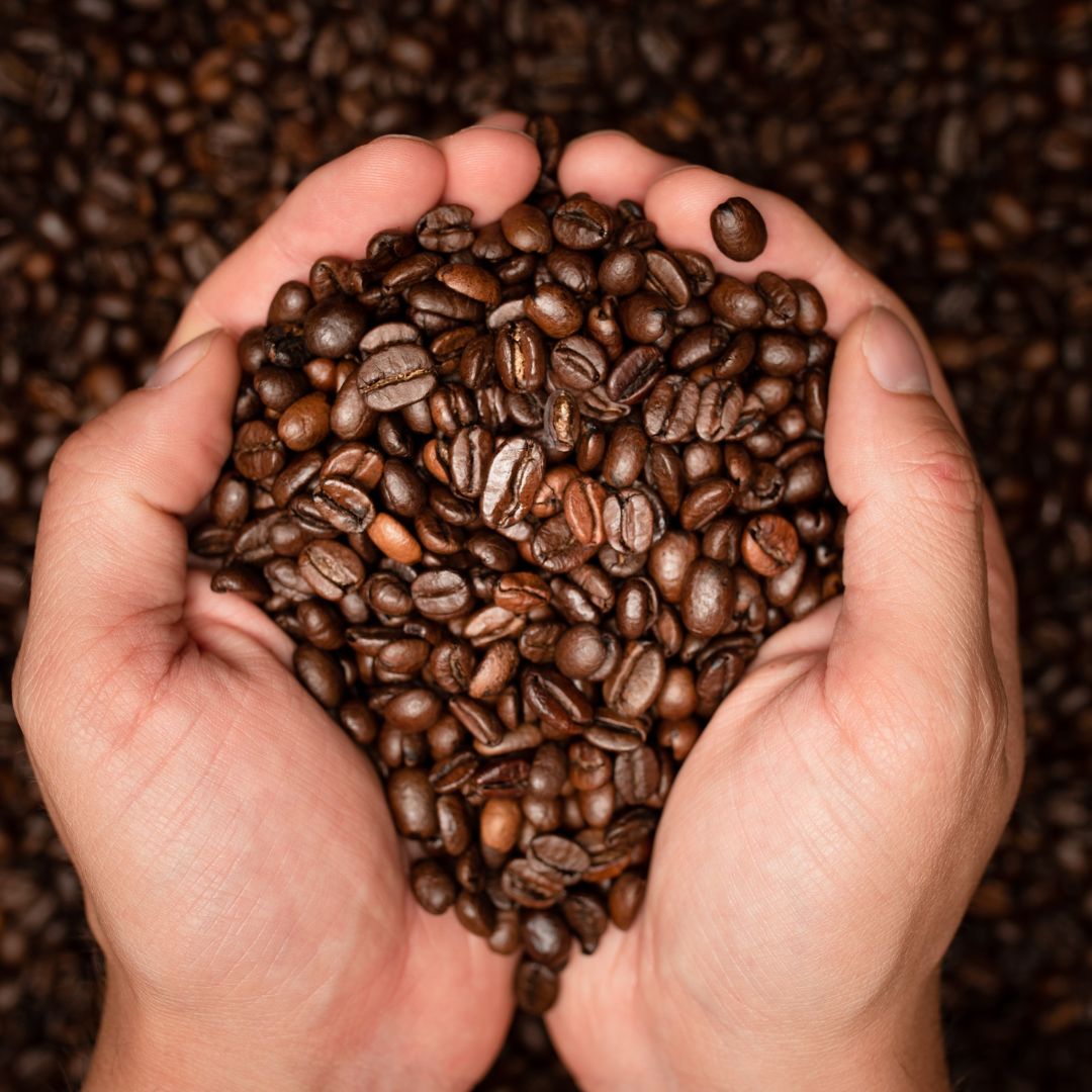 person holding coffee beans