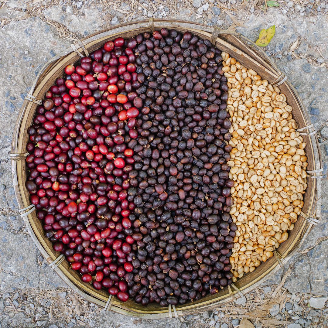coffee beans