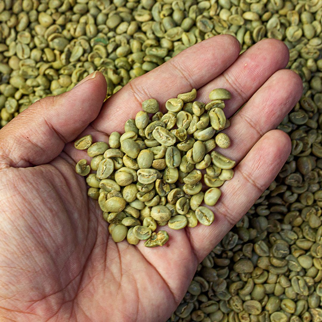unroasted coffee beans