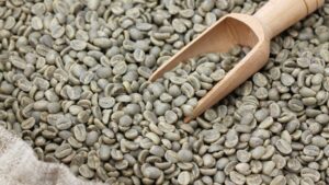 unroasted coffee beans