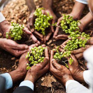 Small plants held by the farmers.