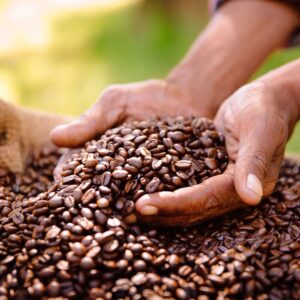 Someone holding coffee beans