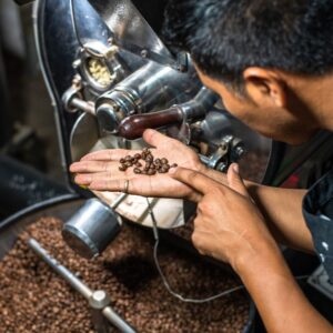 Checking Coffee Beans Checking Coffee Beans