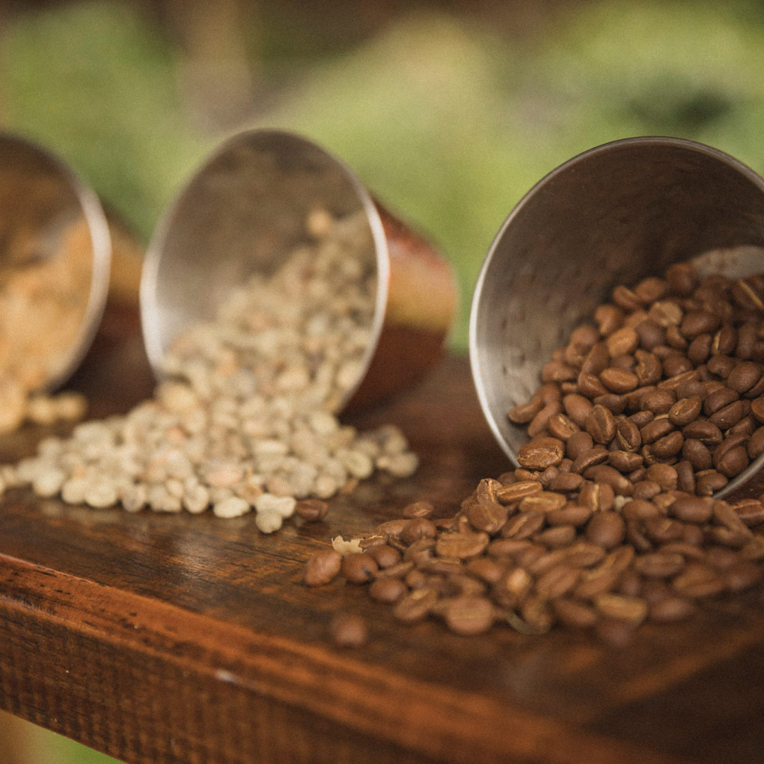 Roasted and unroasted coffee beans