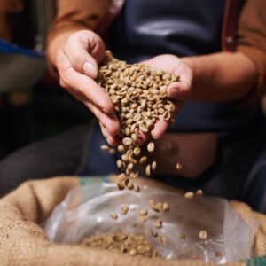 person holds light roasted coffee beans