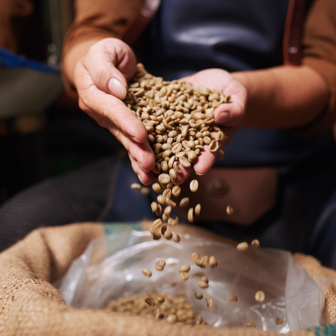 dropping unroasted coffee beans into a bag