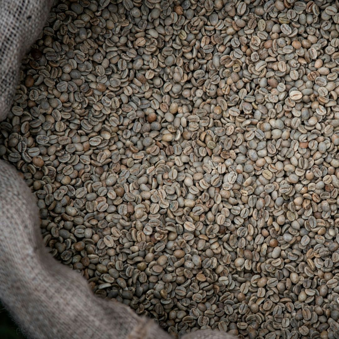 large bag of unroasted coffee beans
