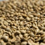 close-up view of unroasted coffee beans